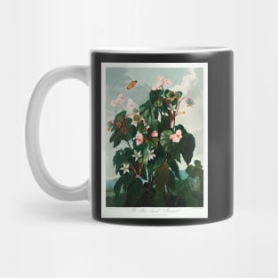 The Oblique–Leaved Begonia Mug